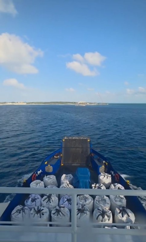 Super sacks of bulk material secured on deck with an island shoreline ahead